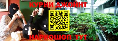 мдпв Можга