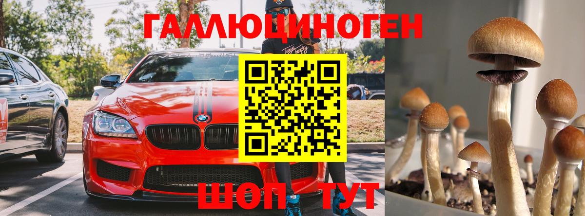 Псилоцибиновые грибы MAGIC MUSHROOMS  Вход с VPN  Верхняя Пышма 